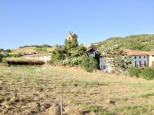 Bearin Tierra Estella tomt foto 6261255