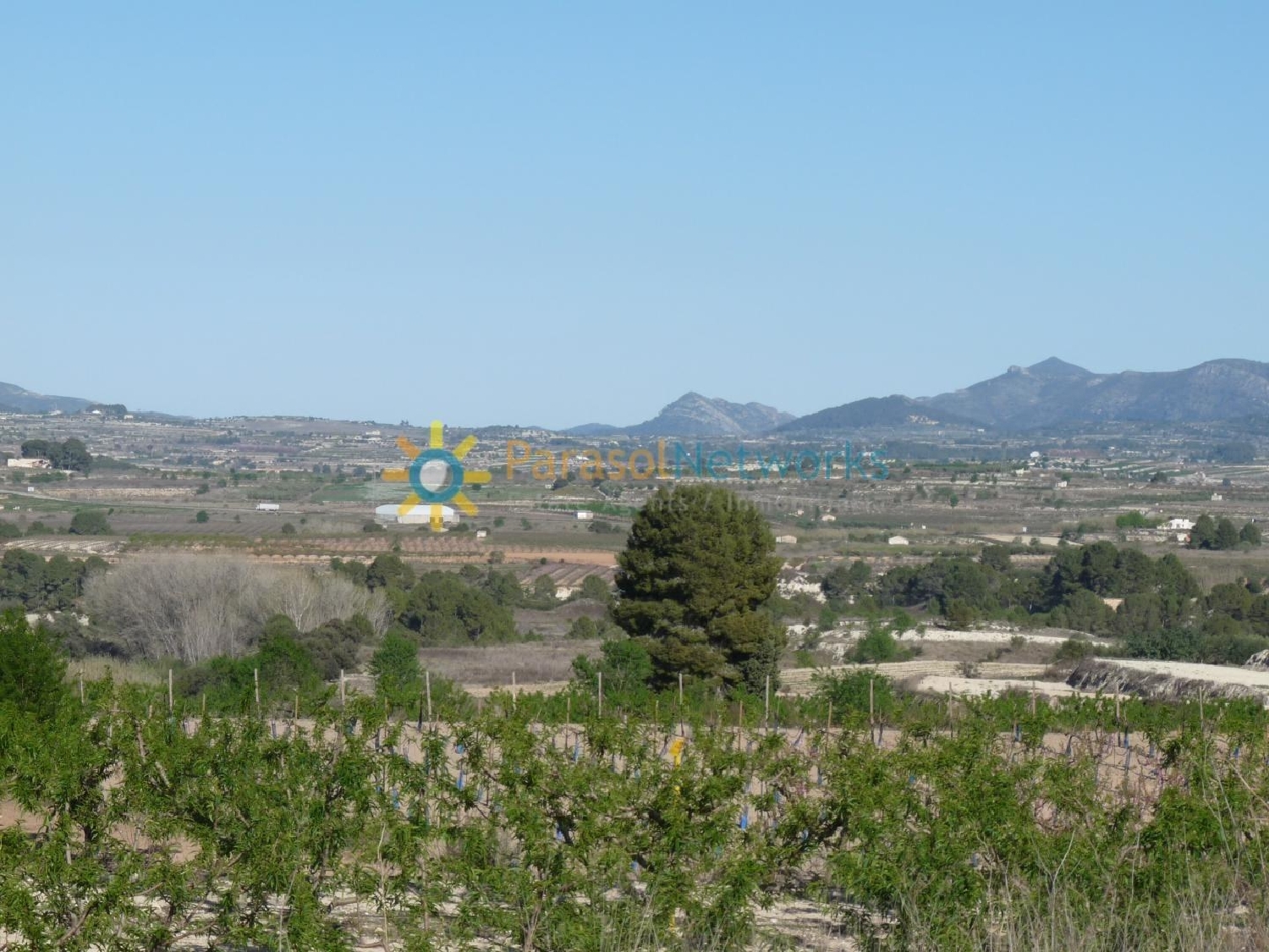  till salu tomt Bèlgida Vall D'albaida 7