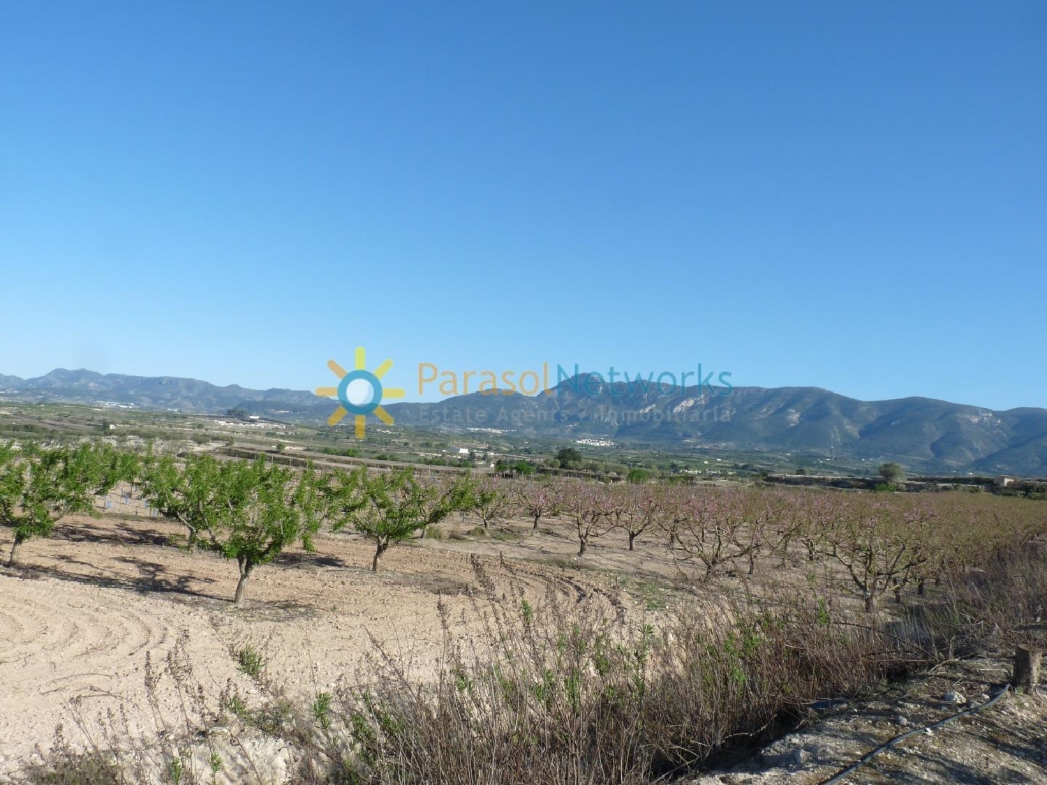 till salu tomt Bèlgida Vall D'albaida 2