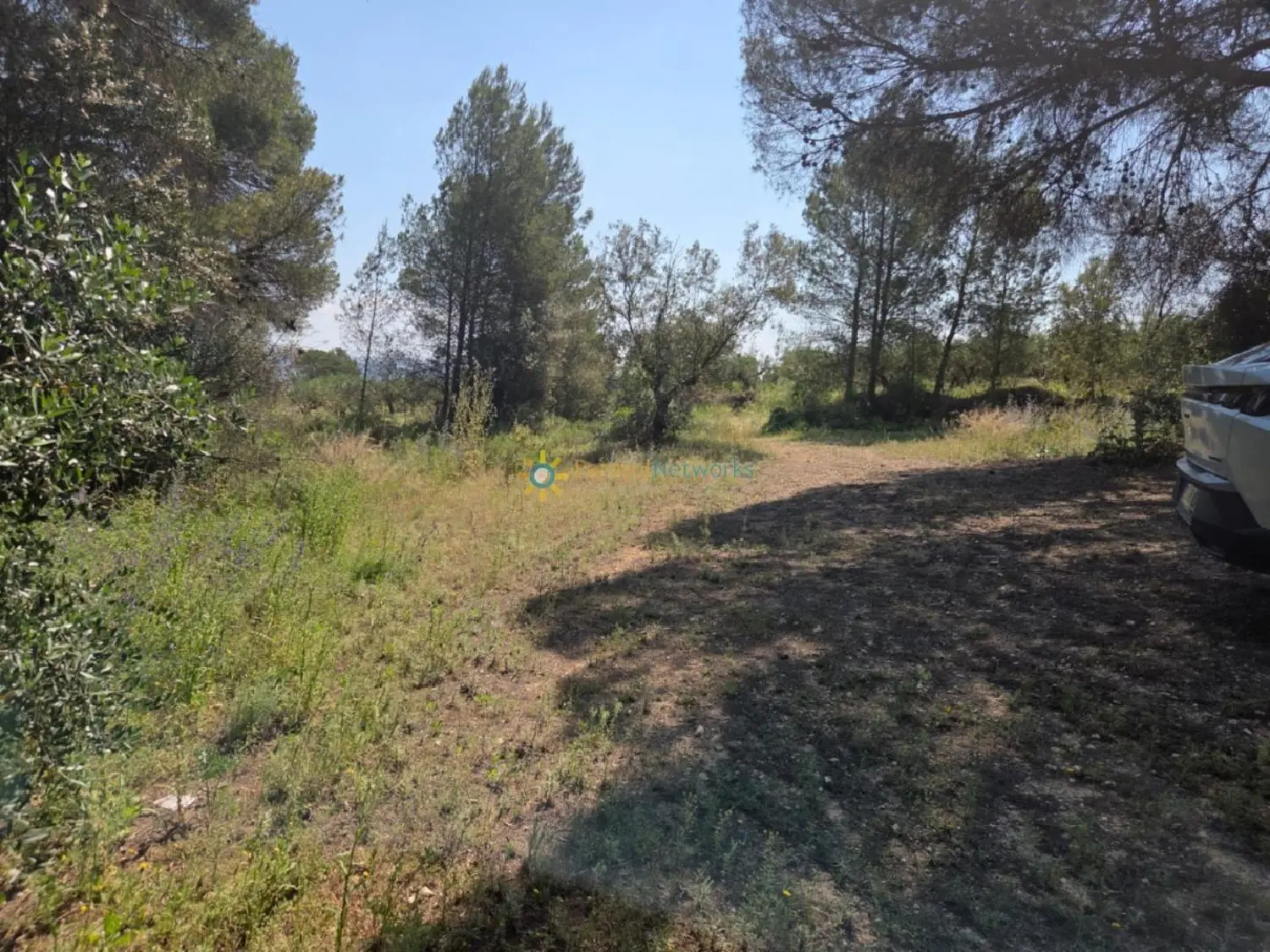  till salu tomt Benisuera Vall D'albaida 4