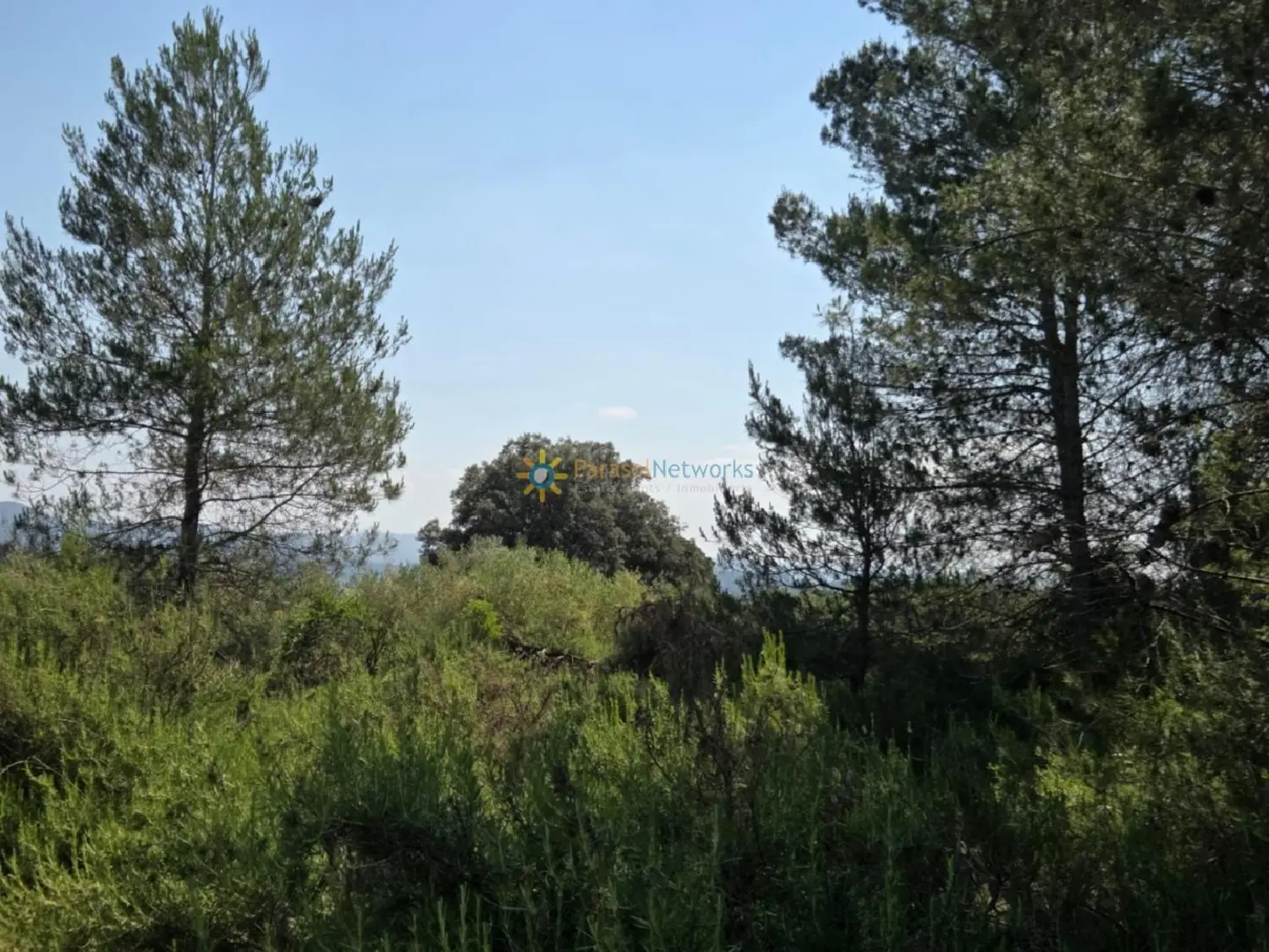  till salu tomt Benisuera Vall D'albaida 5