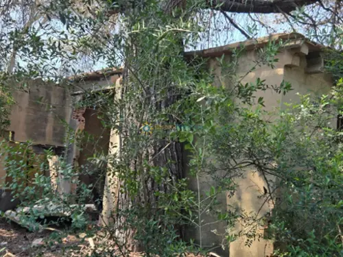 Benisuera Vall D''albaida tomt foto 6175753