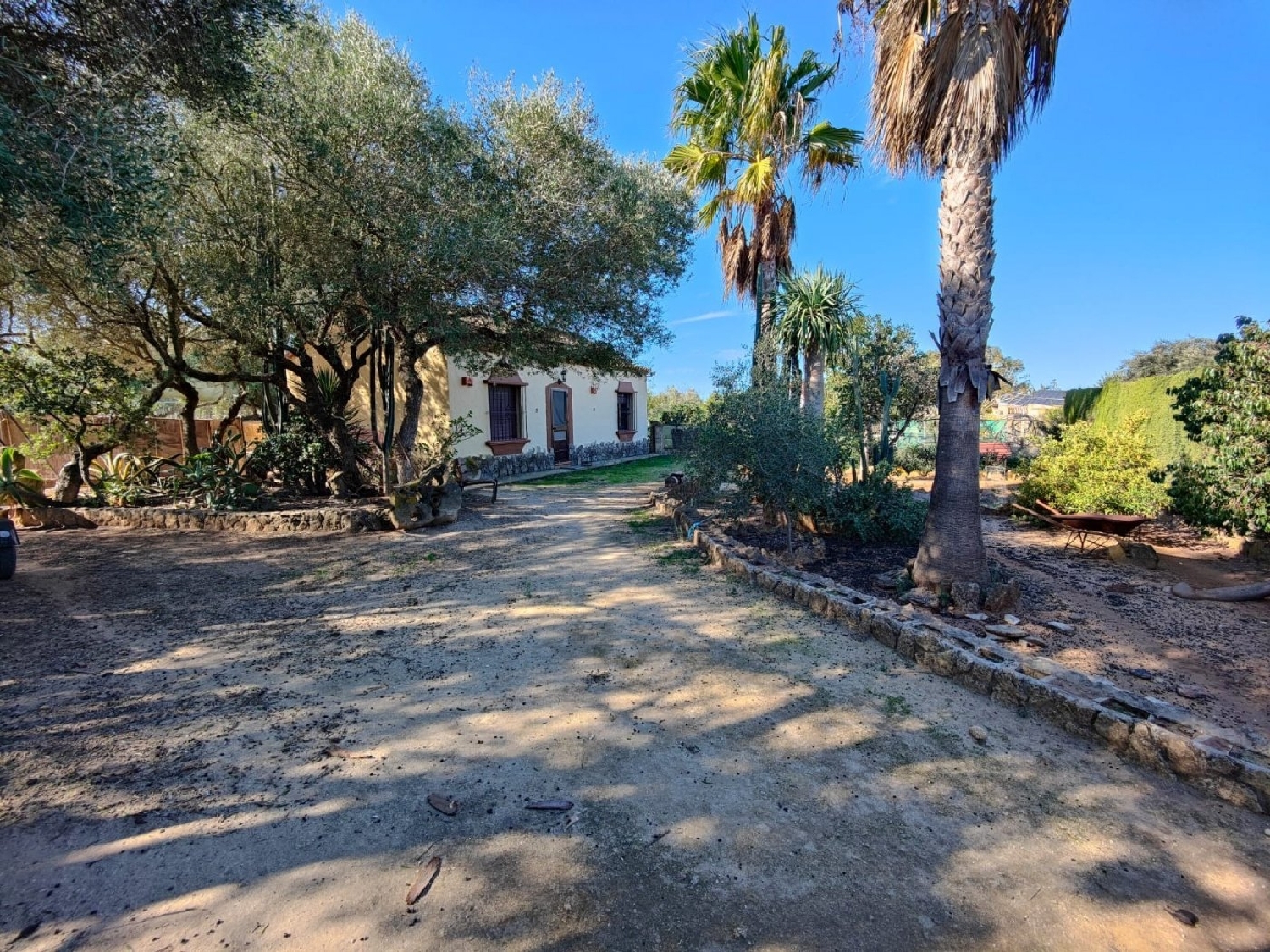  till salu tomt Benalup-Casas Viejas Janda (La) 4