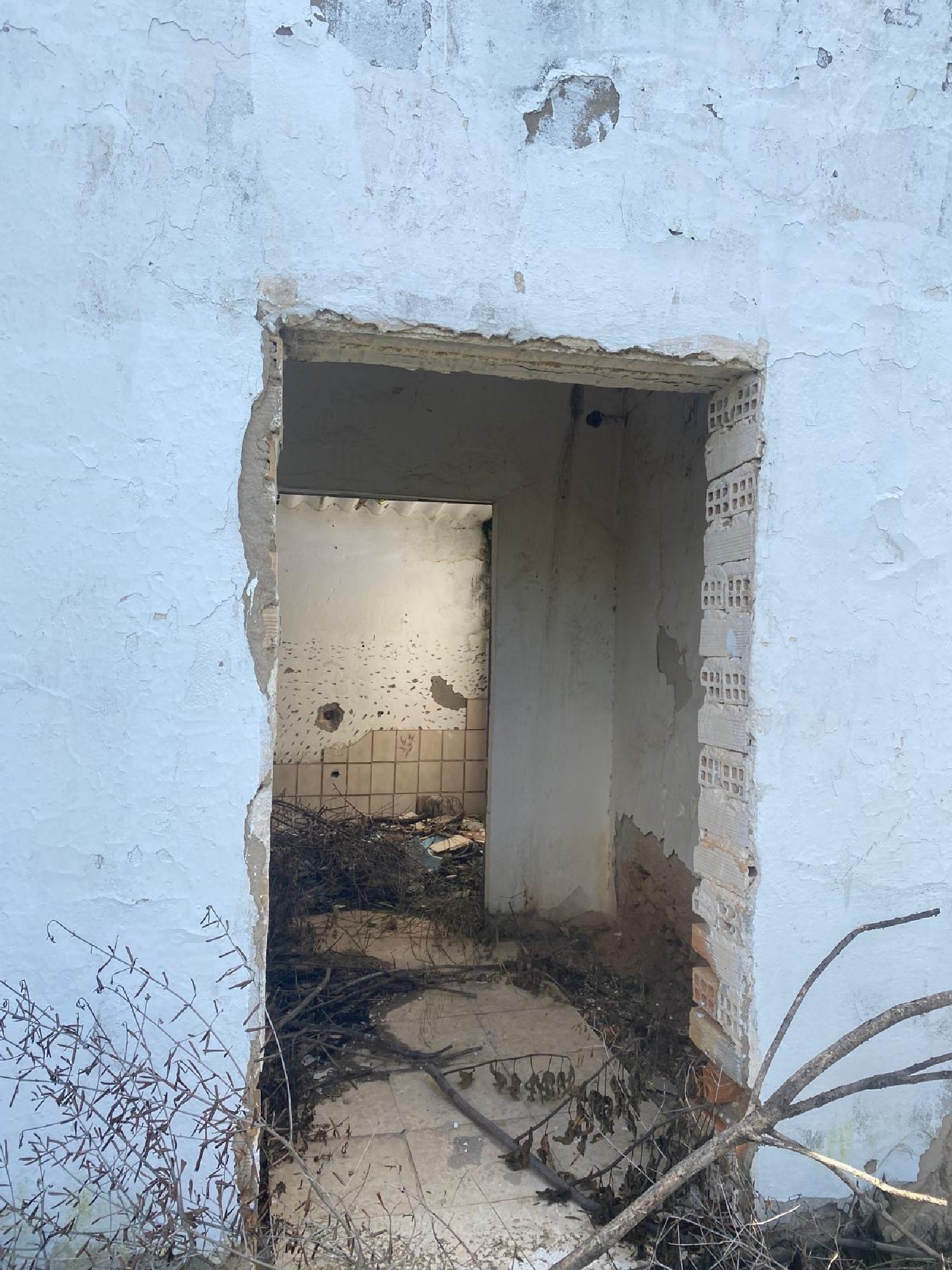  till salu tomt Benalup-Casas Viejas Janda (La) 5