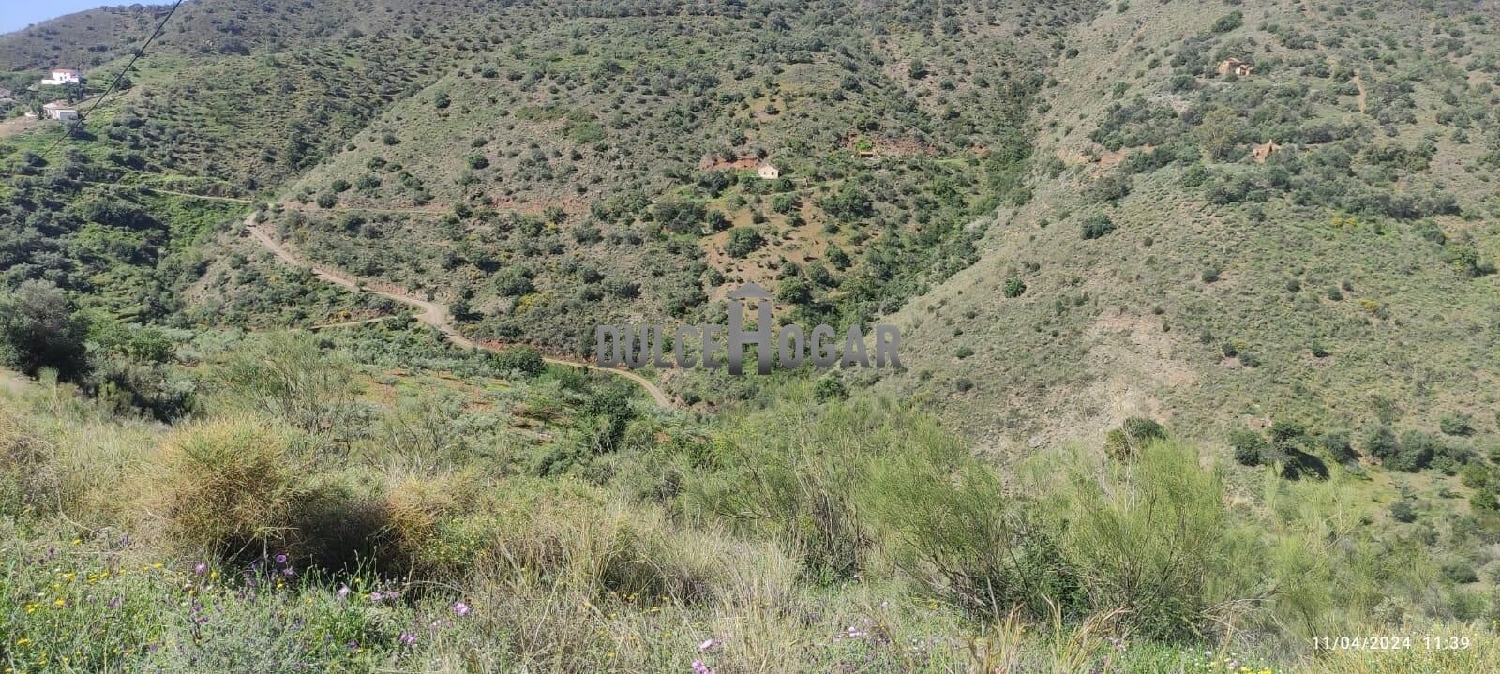  till salu tomt Benamargosa Axarquía 7
