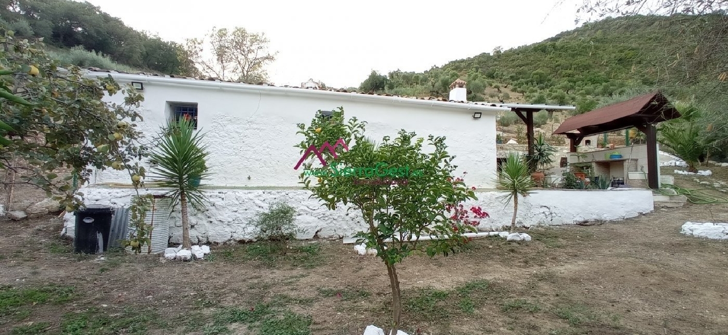  till salu tomt Benaocaz Sierra De Cádiz 5
