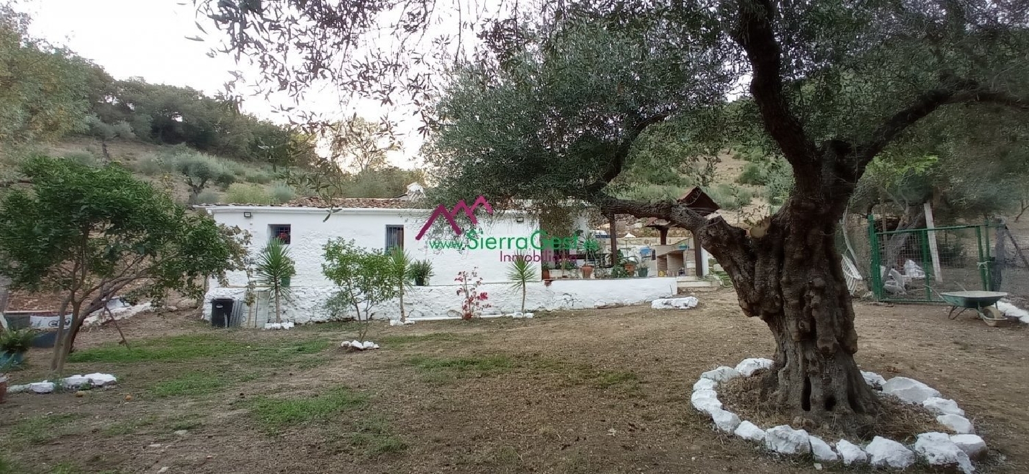  till salu tomt Benaocaz Sierra De Cádiz 4