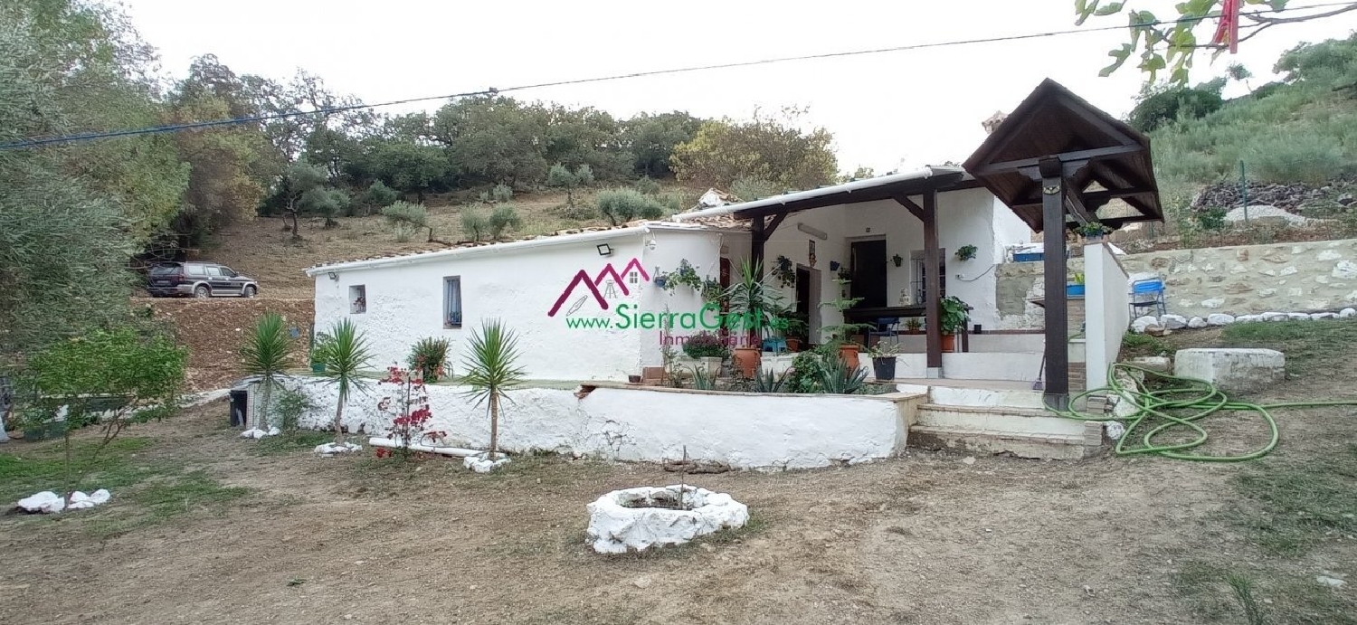 till salu tomt Benaocaz Sierra De Cádiz 2