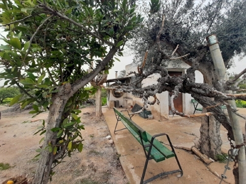 Beniaján Huerta De Murcia tomt foto 6223206