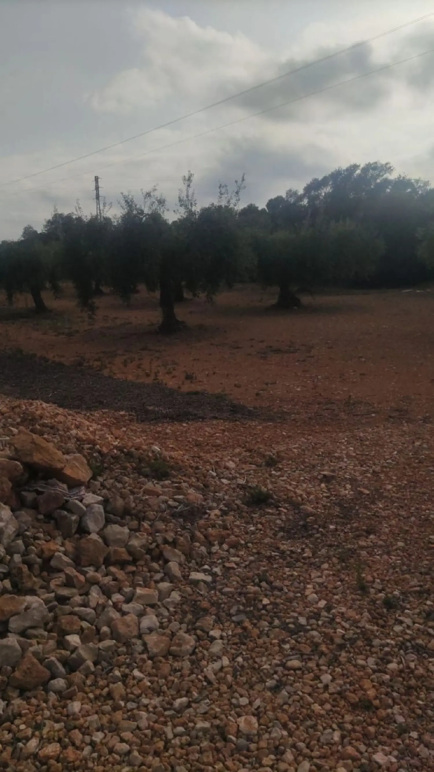  en venta casa Benicarló Baix Maestrat 3