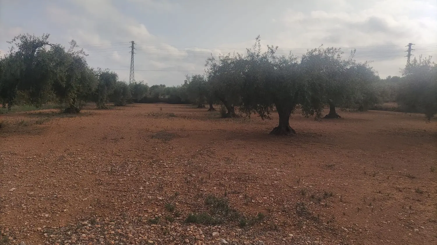  en venta casa Benicarló Baix Maestrat 2