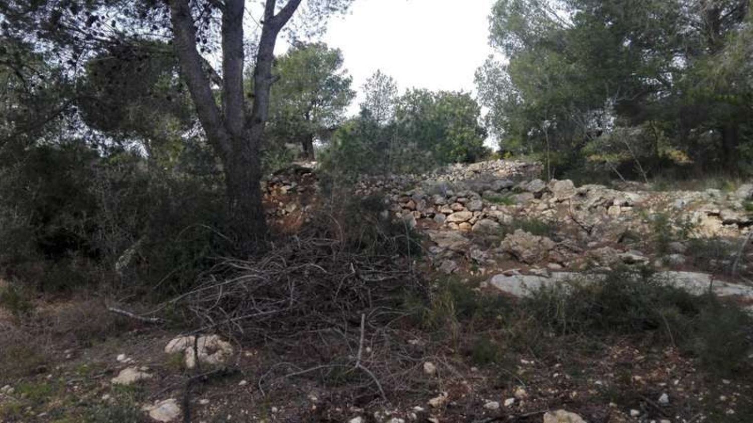  till salu tomt Benicarló Baix Maestrat 3