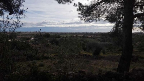 Benicarló Baix Maestrat tomt foto 6220897