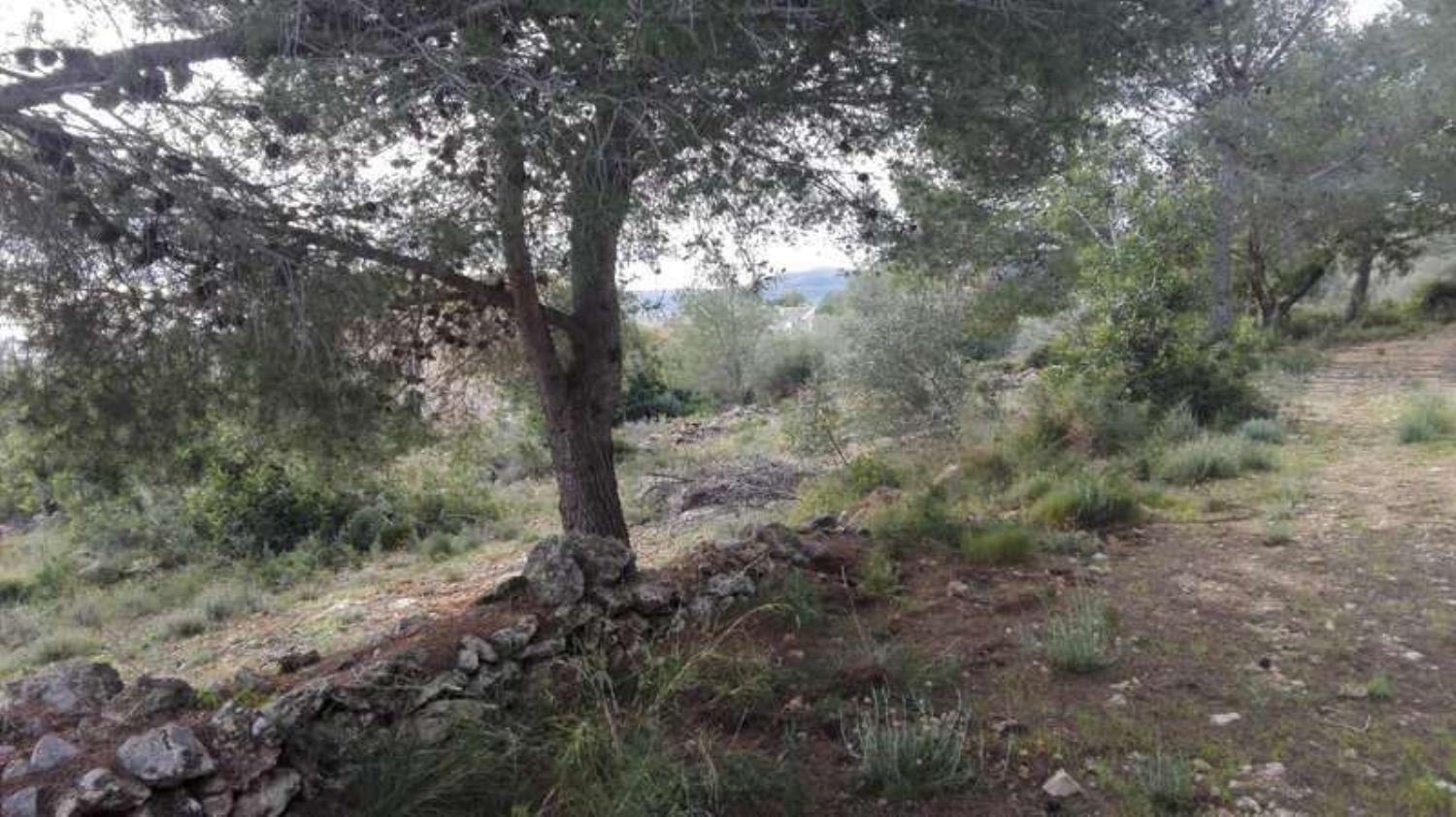  till salu tomt Benicarló Baix Maestrat 2