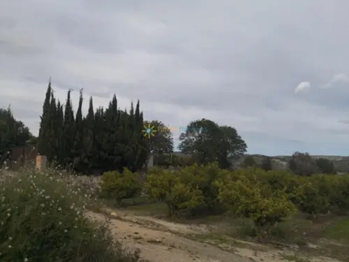 Benigánim Vall D''albaida tomt foto 6175679