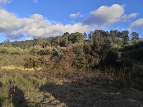 Benigánim Vall D''albaida tomt foto 6219001