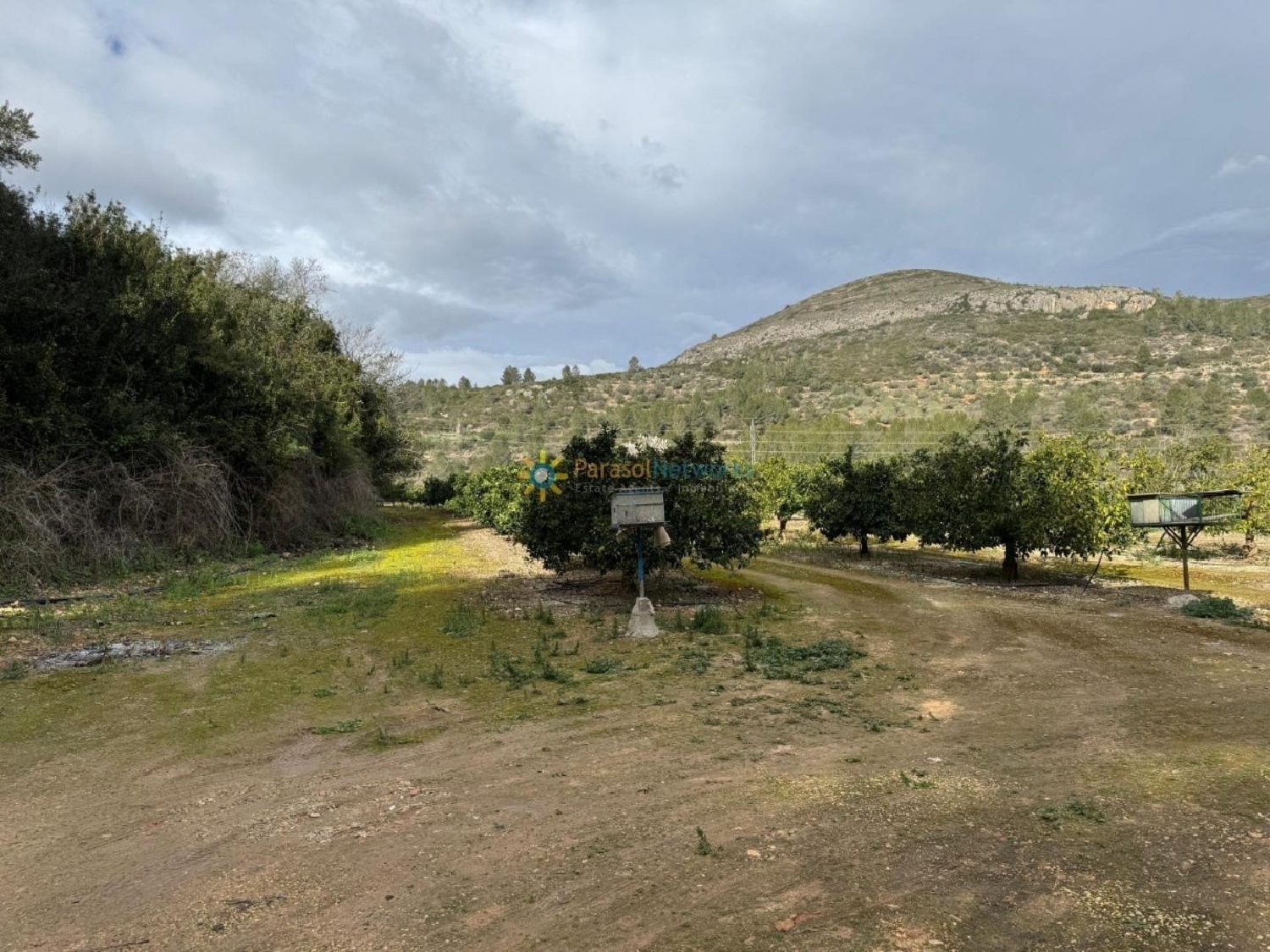  till salu tomt Benigánim Vall D'albaida 1