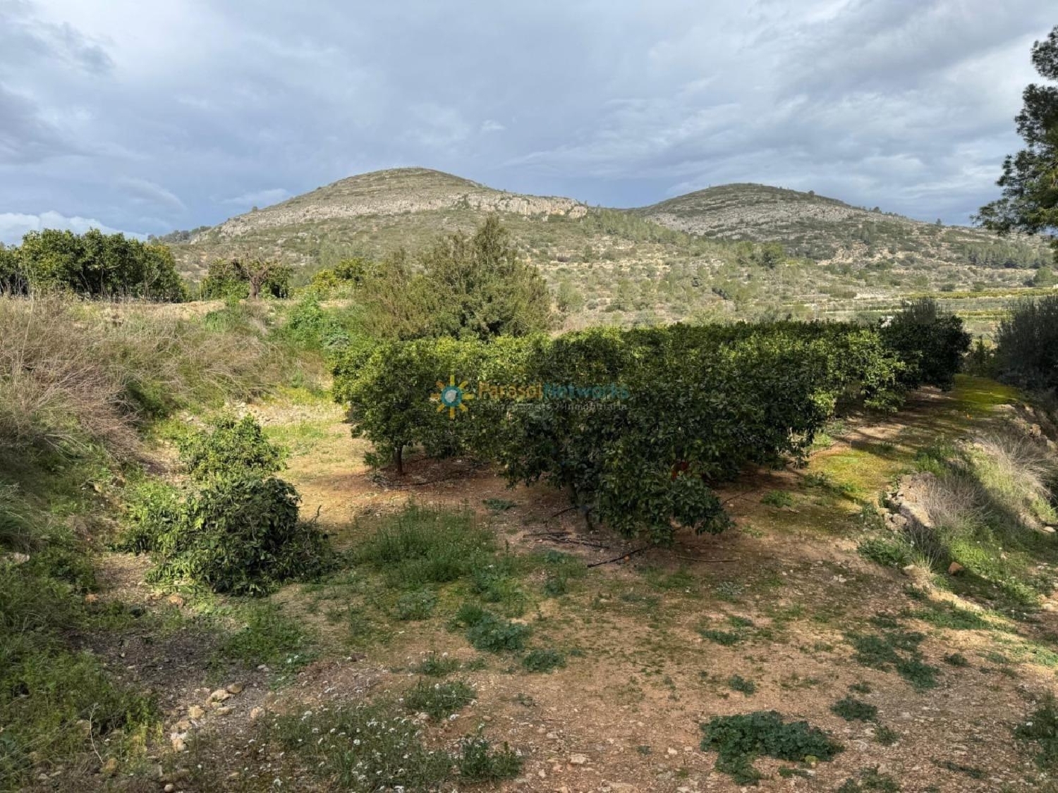  till salu tomt Benigánim Vall D'albaida 8