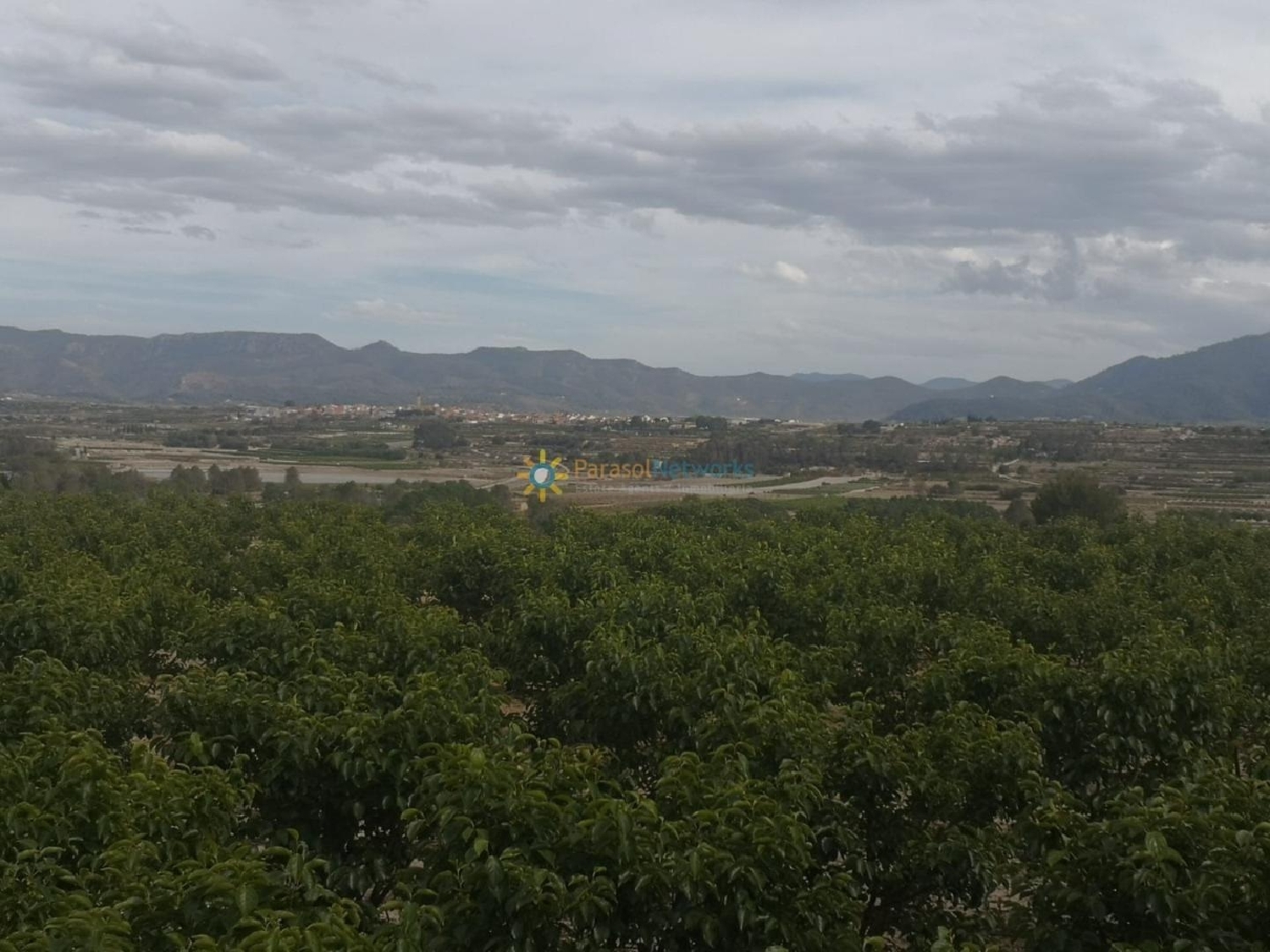 till salu tomt Benigánim Vall D'albaida 2