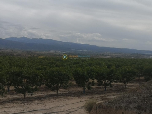 Benigánim Vall D''albaida tomt foto 6263304