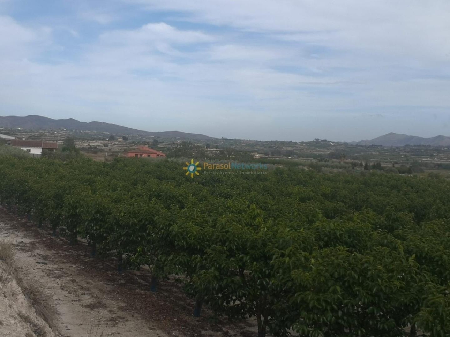  till salu tomt Benigánim Vall D'albaida 7