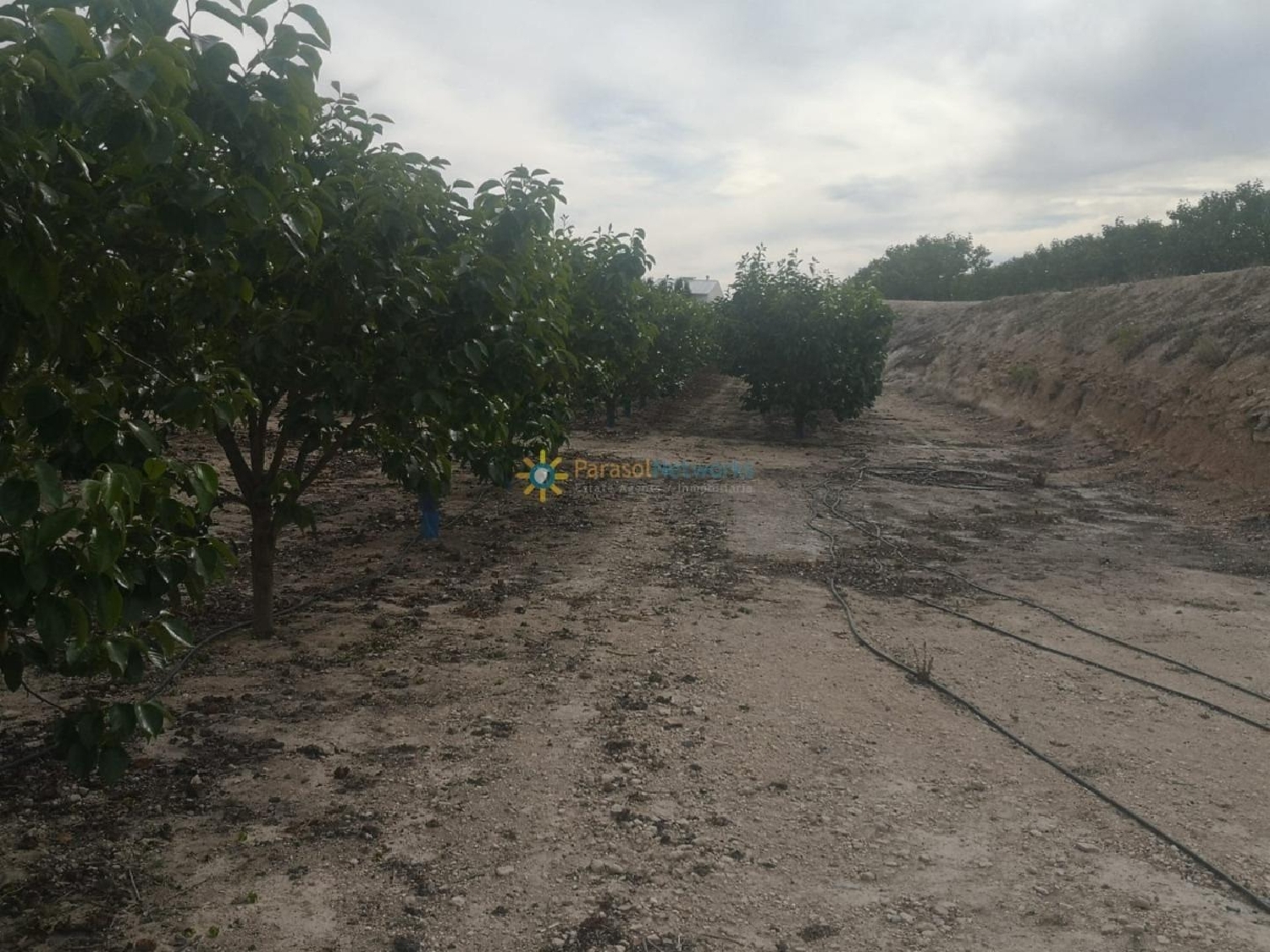  till salu tomt Benigánim Vall D'albaida 8