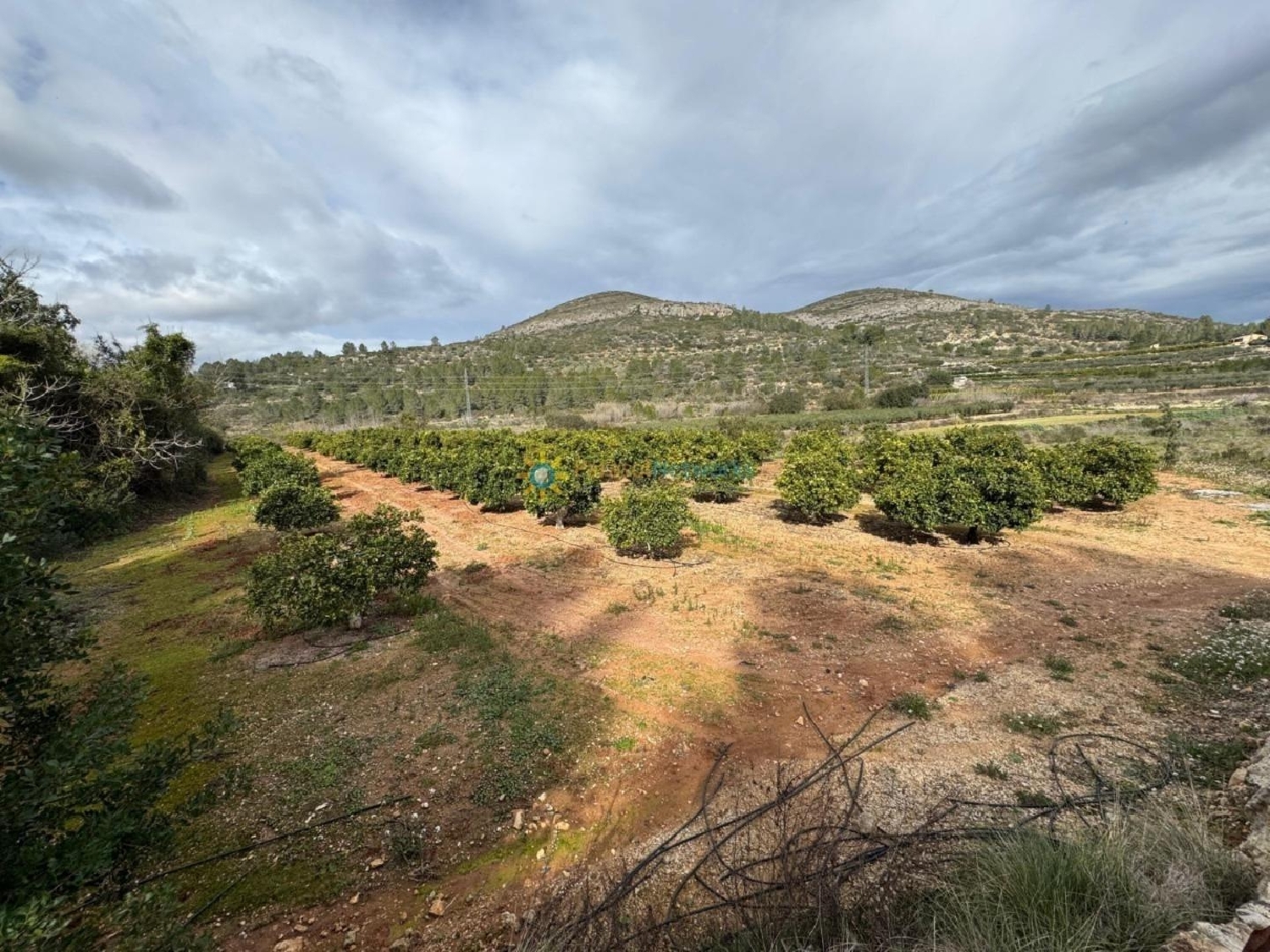 till salu tomt Benigánim Vall D'albaida 3