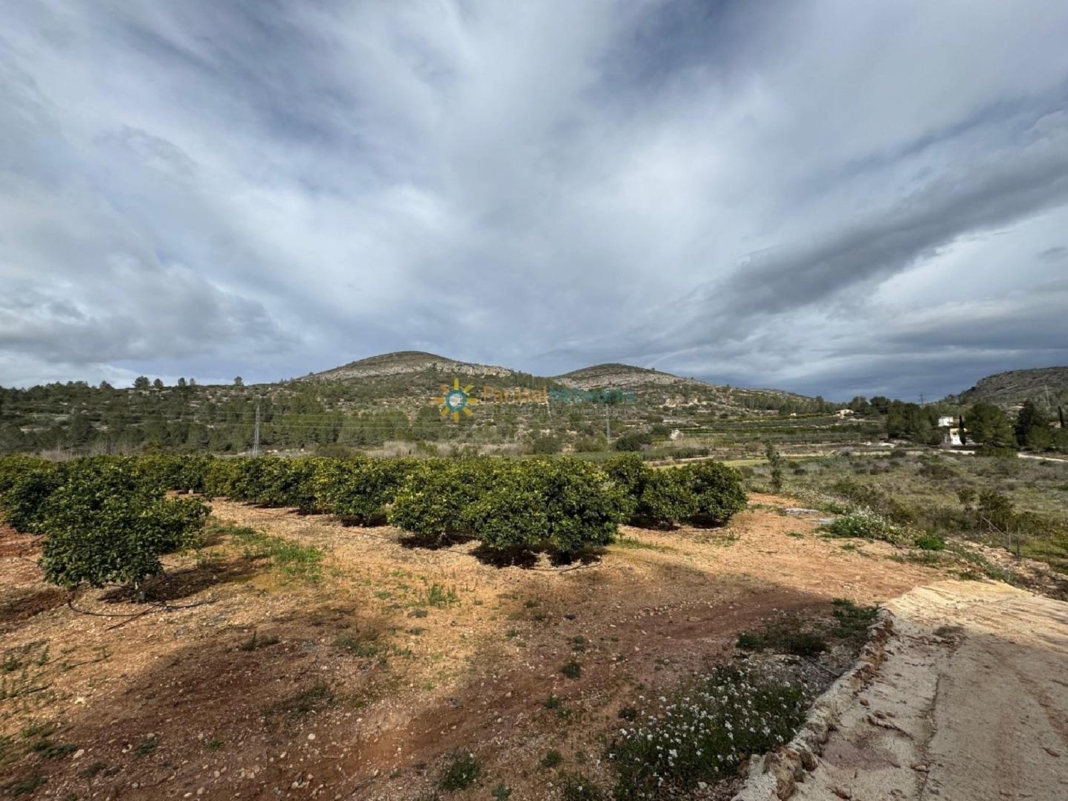  till salu tomt Benigánim Vall D'albaida 1