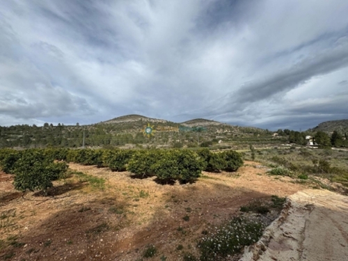 Benigánim Vall D''albaida tomt foto 6263433
