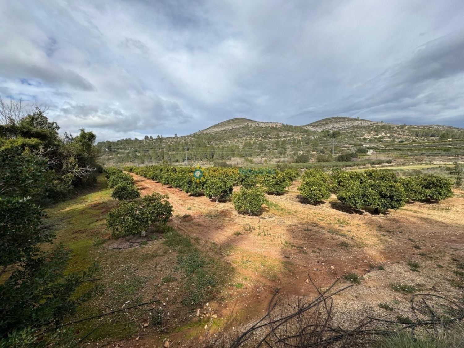 till salu tomt Benigánim Vall D'albaida 2