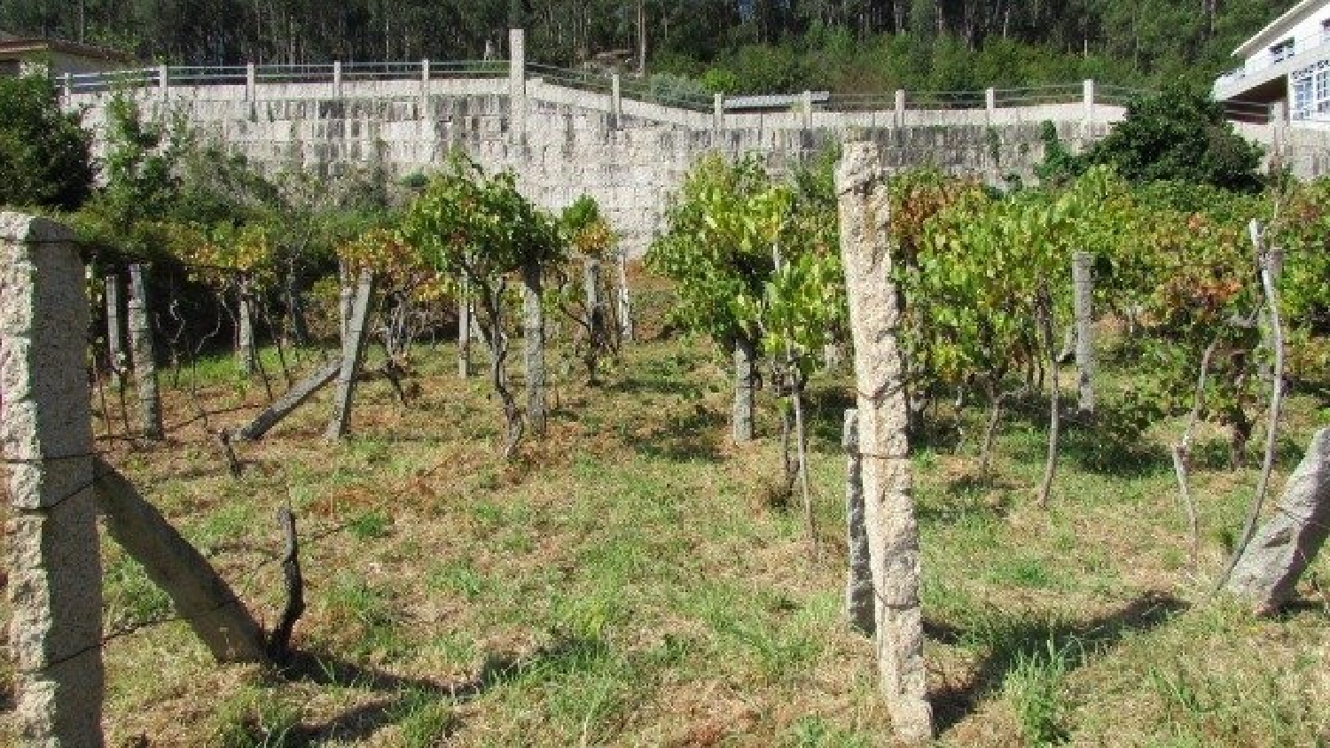  for sale plot Bertola Pontevedra 4