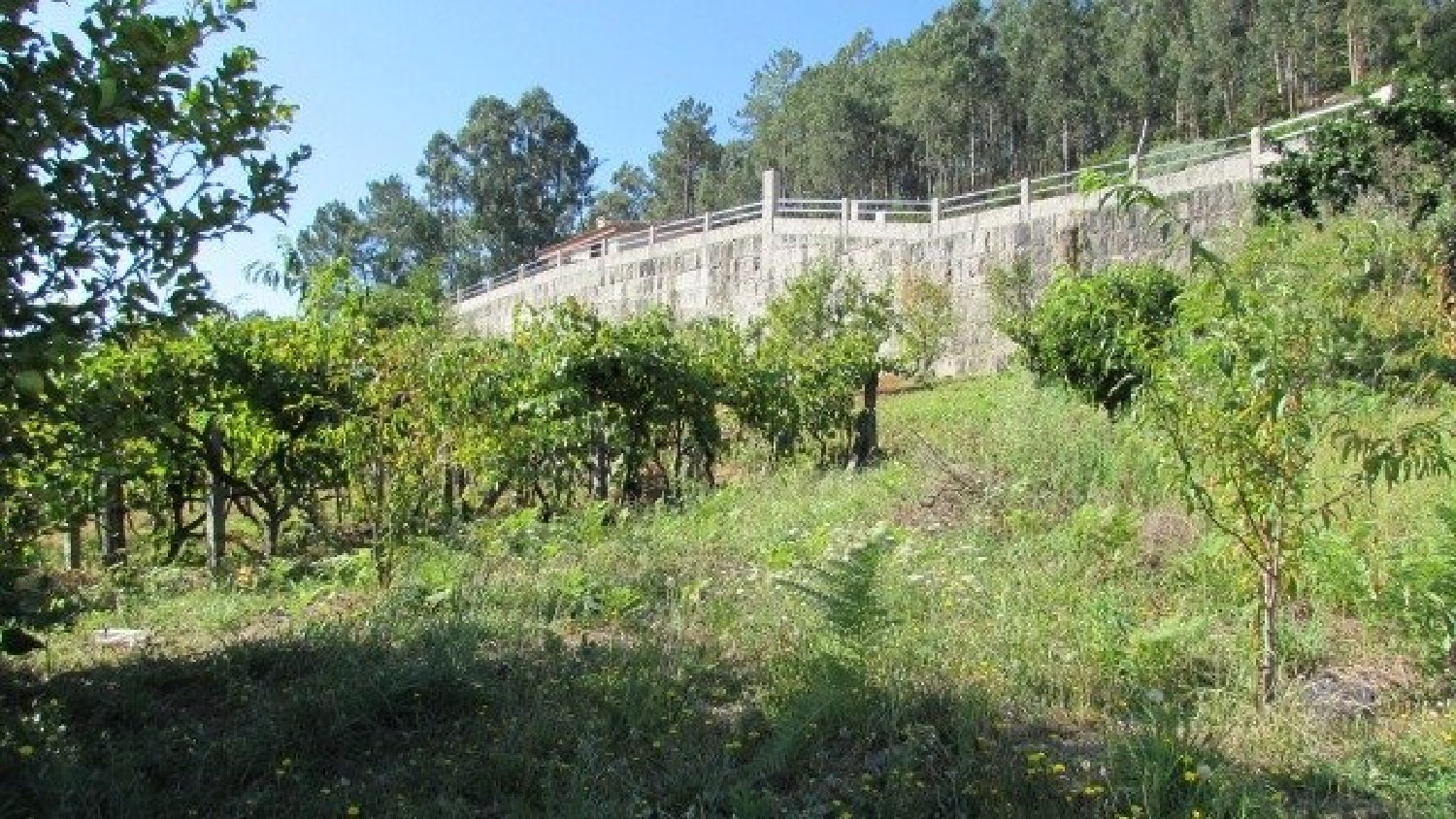  for sale plot Bertola Pontevedra 5