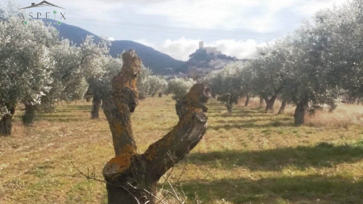  till salu tomt Biar Alt Vinalopó 1