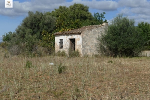 Binissalem Raiguer tomt foto 6252114