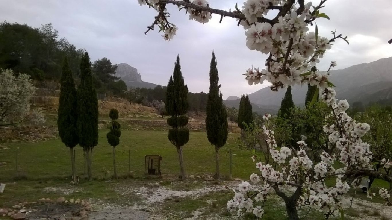  for sale plot Benimarco Marina Alta 4