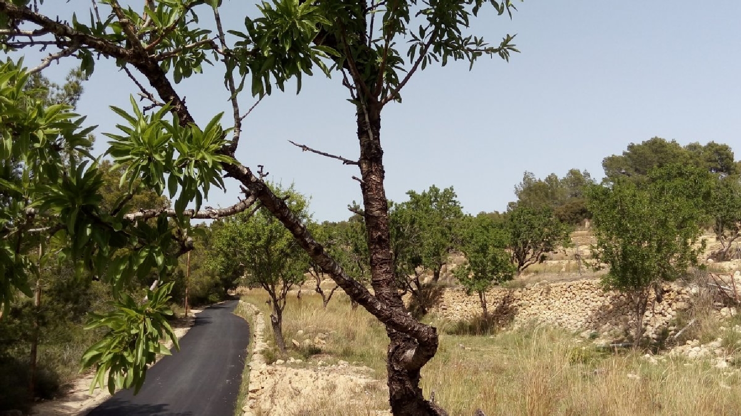 for sale plot Benimarco Marina Alta 2