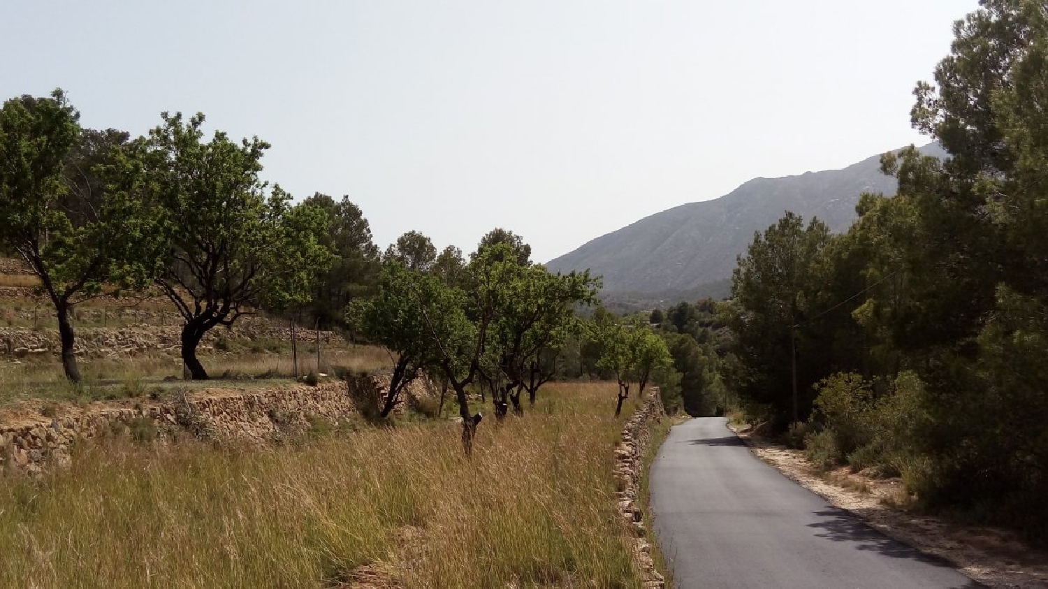 for sale plot Benimarco Marina Alta 3