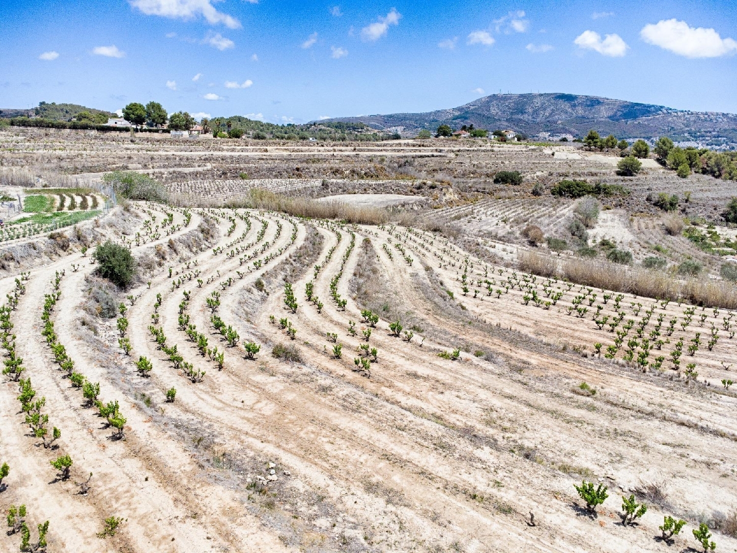 en venta terreno Binyent Marina Alta 4