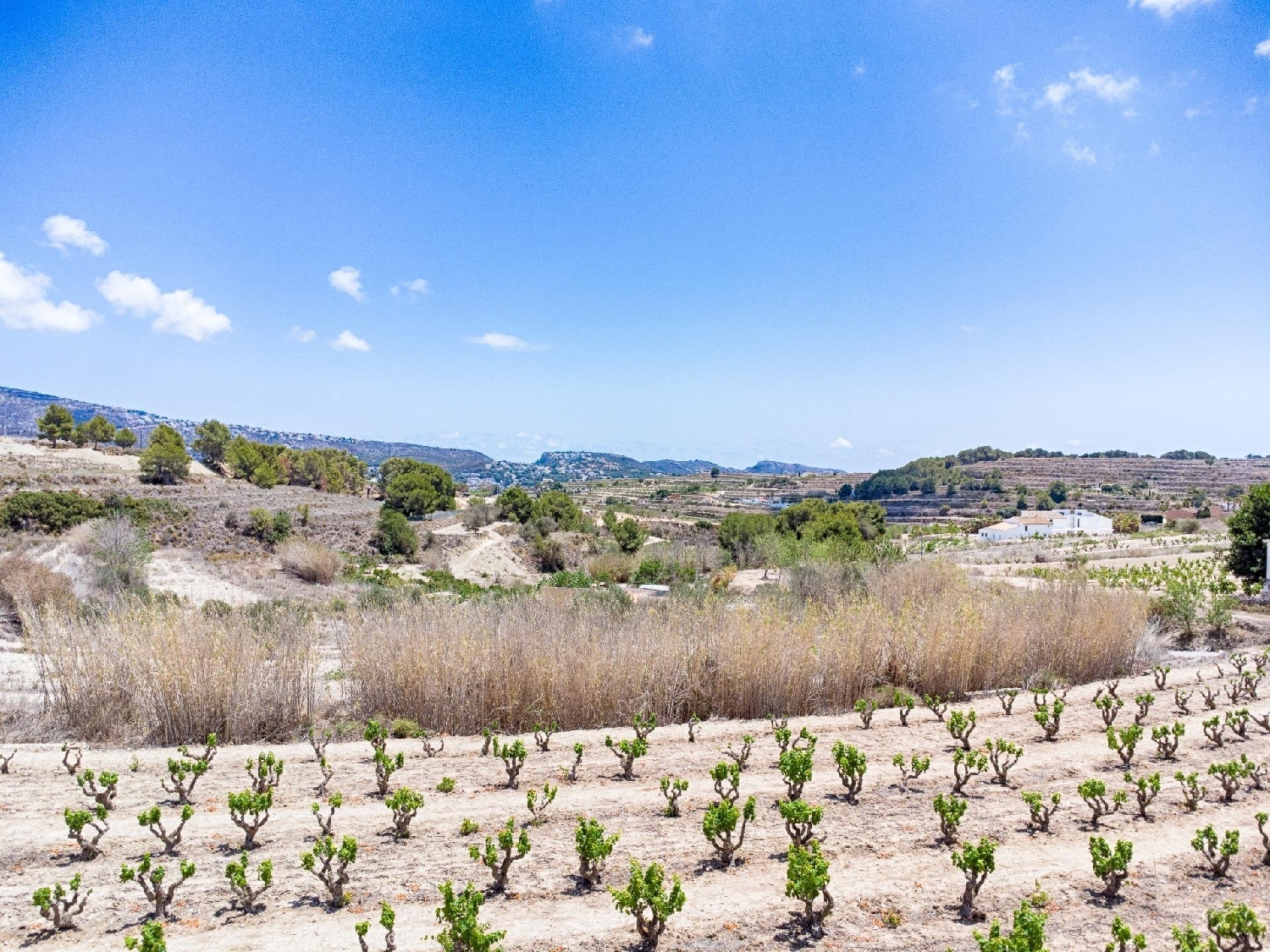  en venta terreno Binyent Marina Alta 7