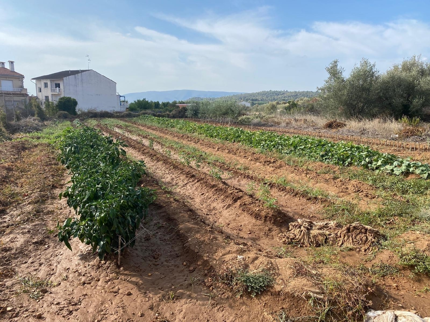  till salu tomt Bolbaite Canal De Navarrés 4