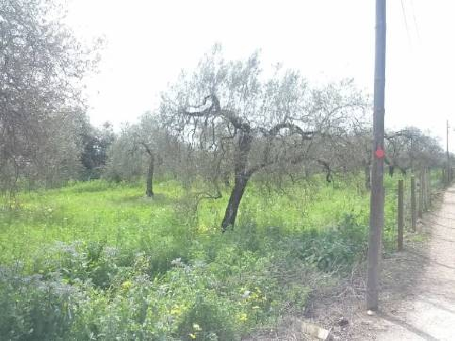  till salu tomt Entrecaminos Urb. Aljarafe 1