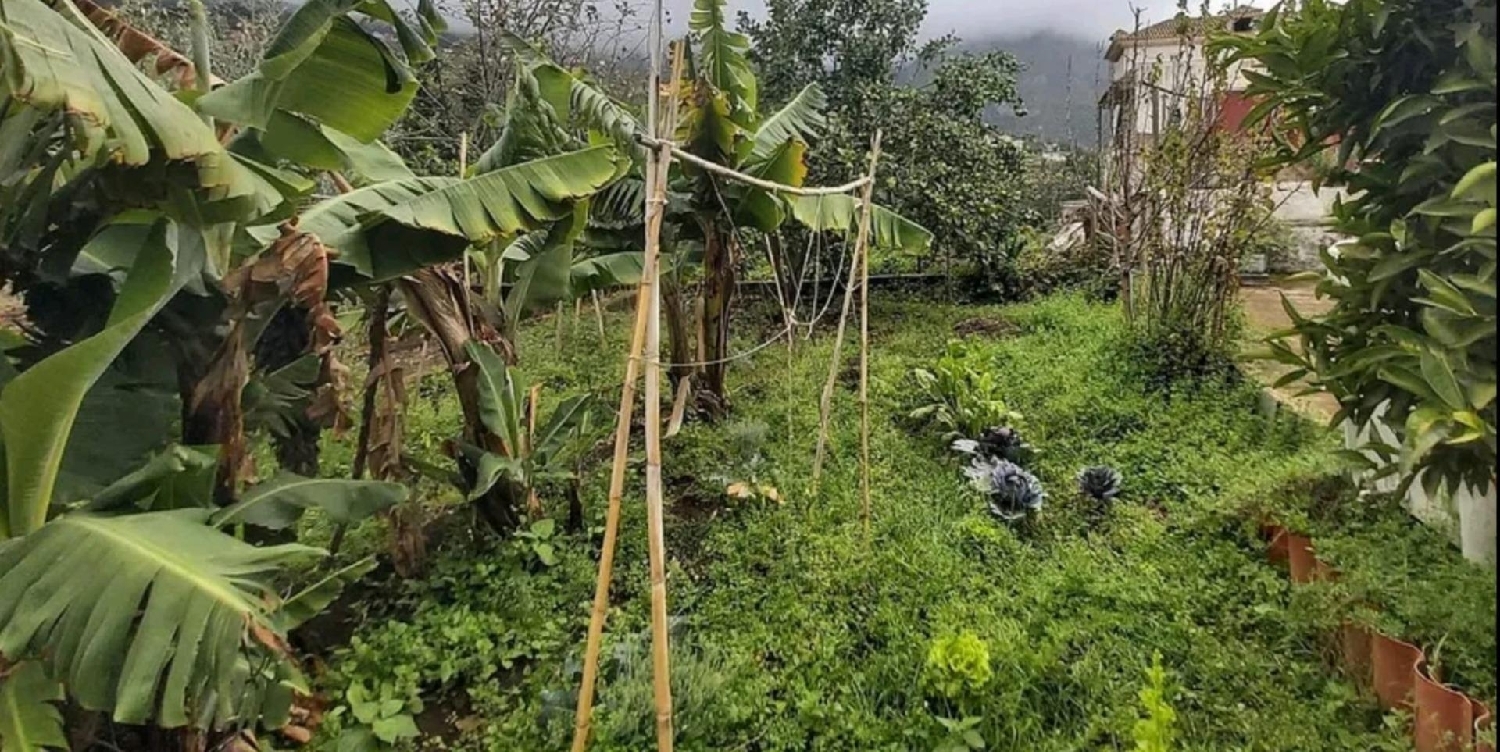  for sale plot Llanadas Zona Norte 6