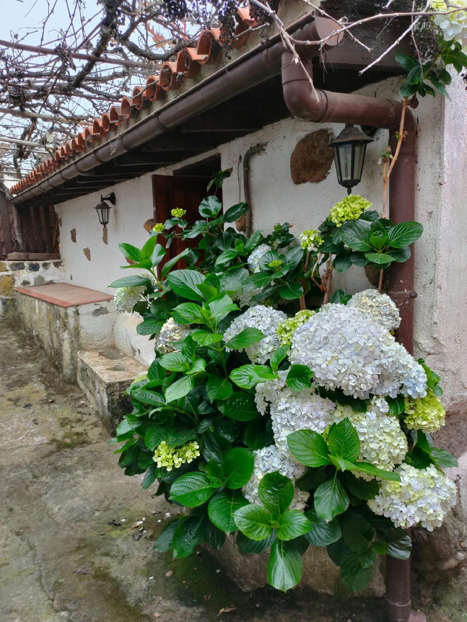  for sale plot Llanadas Zona Norte 5