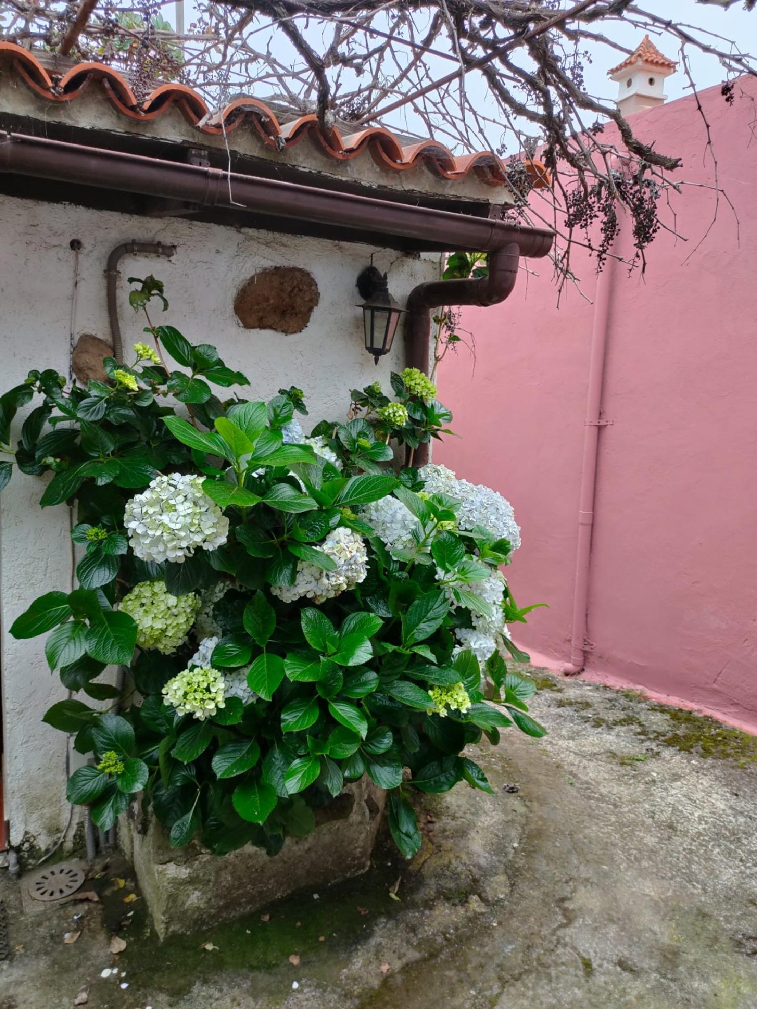  for sale plot Llanadas Zona Norte 4