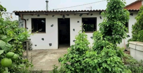 Brezal Zona Norte tomt foto 6222344