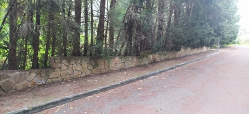 Santo Domingo Cordoue terrain foto 6235966