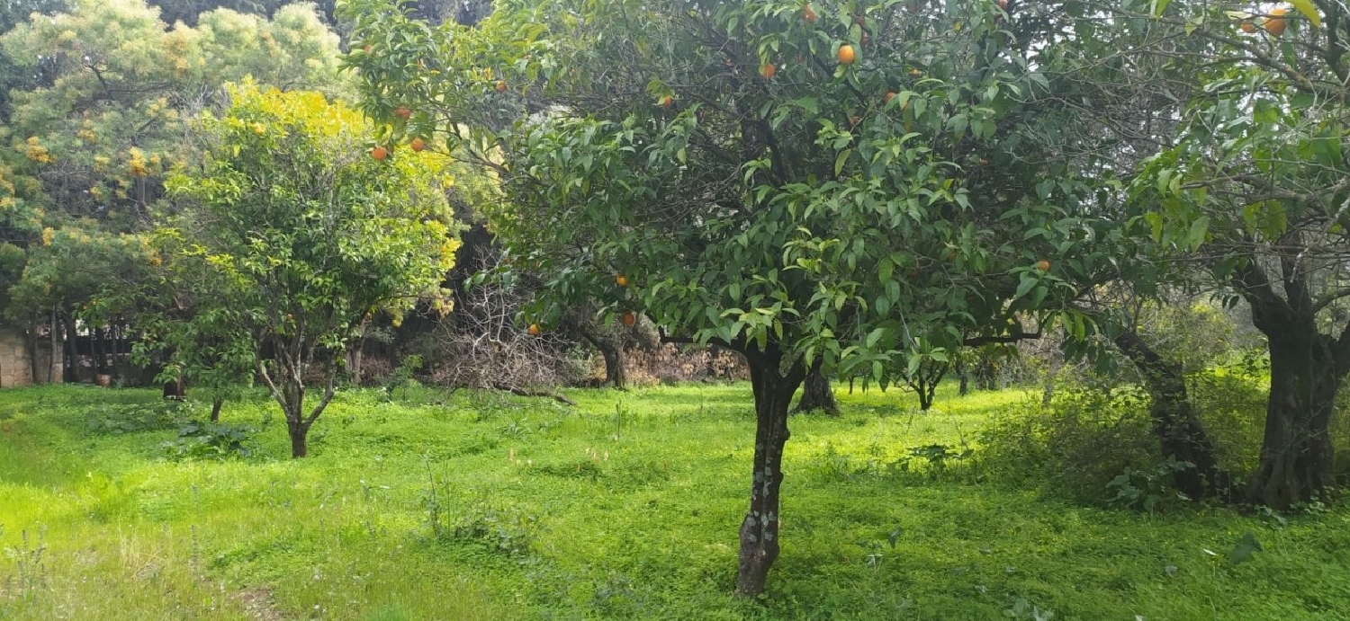  kaufen Grundstück Santo Domingo Córdoba 4