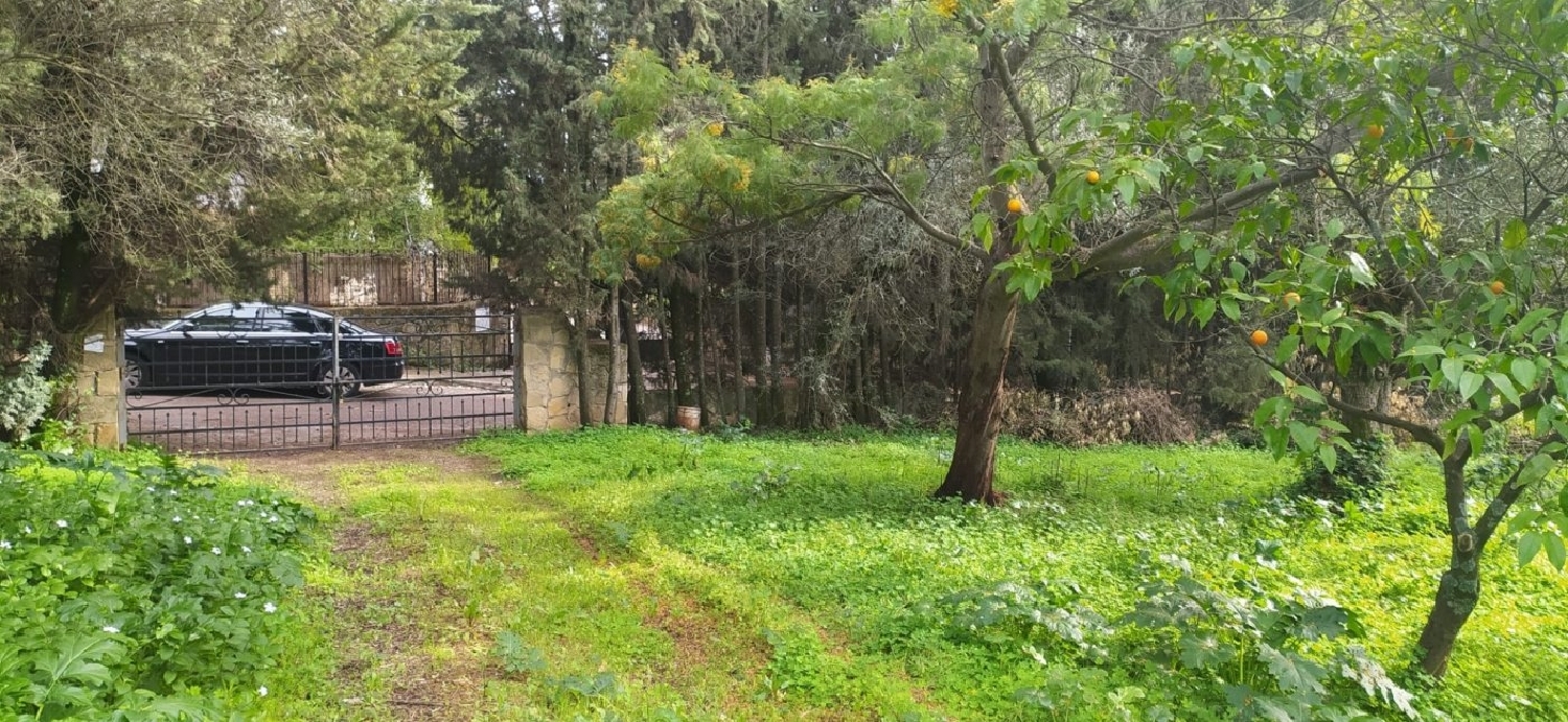kaufen Grundstück Santo Domingo Córdoba 2