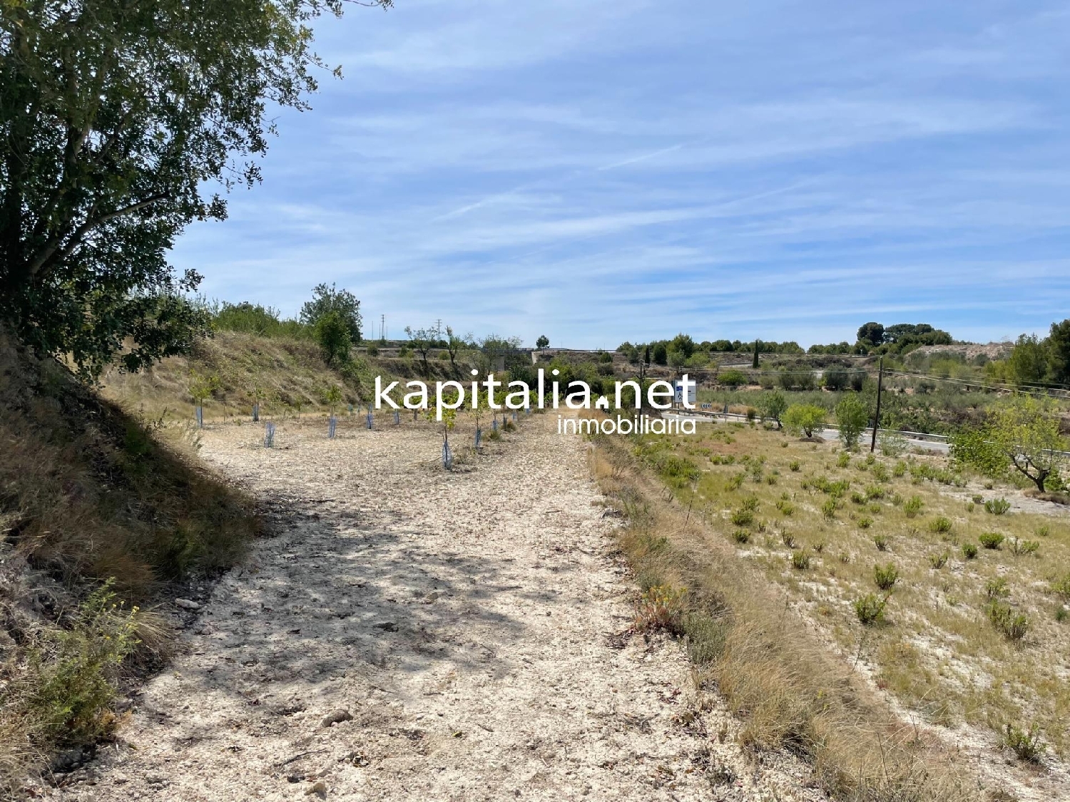 te koop perceel Bufali Vall D'albaida 3