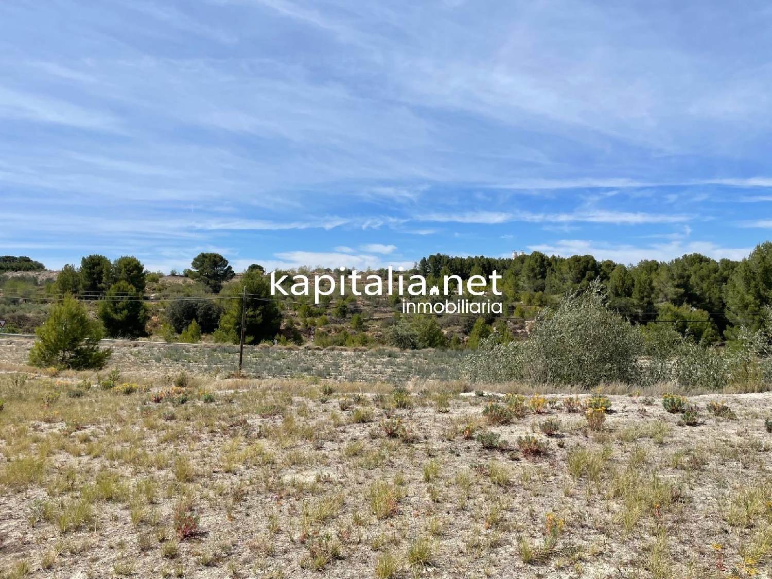 te koop perceel Bufali Vall D'albaida 2